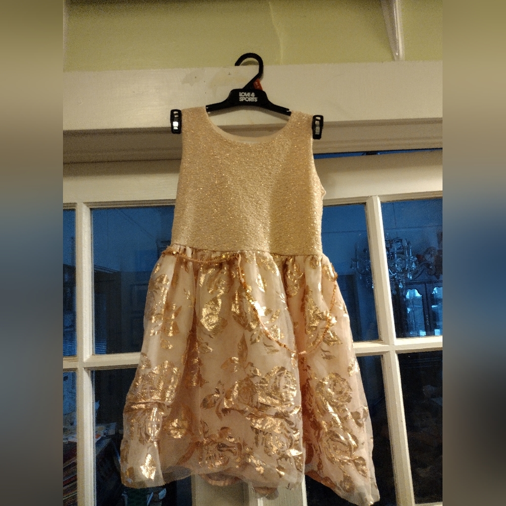 Children's Place Rose/Gold Dress